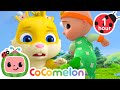 CATCH ME! Duck Duck Goose | CoComelon Animal Time Nursery Rhymes and Kids Songs | After School Club