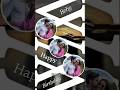 TRENDING INSTA STORY FOR GIRLS 🔥| 2026 Aesthetic story  #instagram #instagood #instareels #short #dp