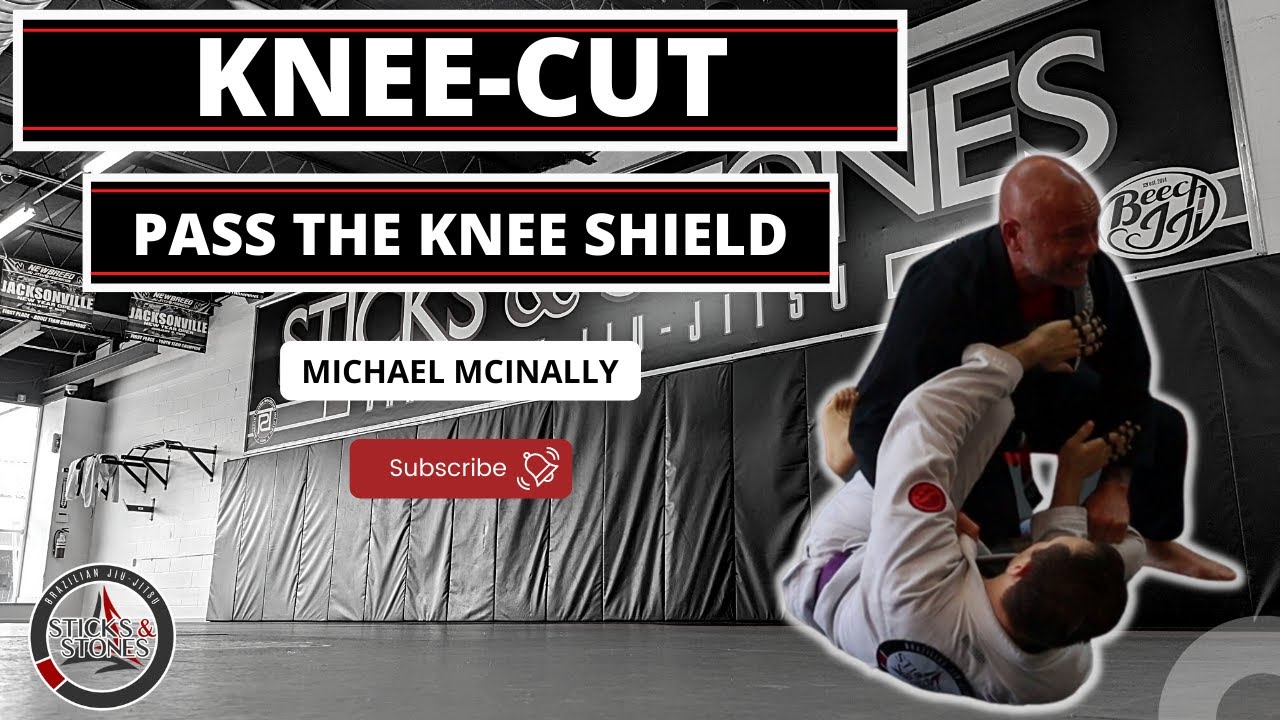 Knee Cut Pass the Knee Shield - YouTube