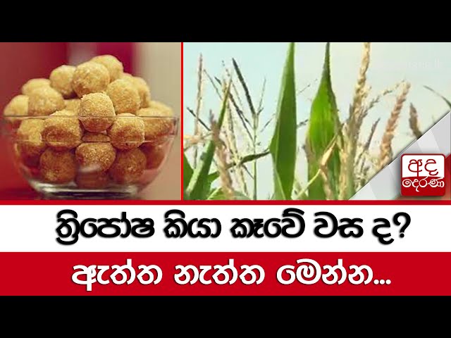 ත්‍රිපෝෂ කියා කෑවේ වස ද? ඇත්ත නැත්ත මෙන්න...