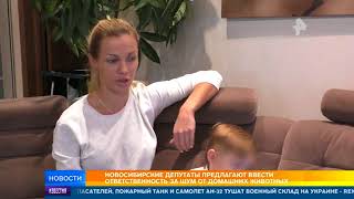 Новосибирские депутаты предлагают ввести ответственность за шум от домашних животных Новосибирские депутаты предлагают ввести ответственность за шум от домашних животных