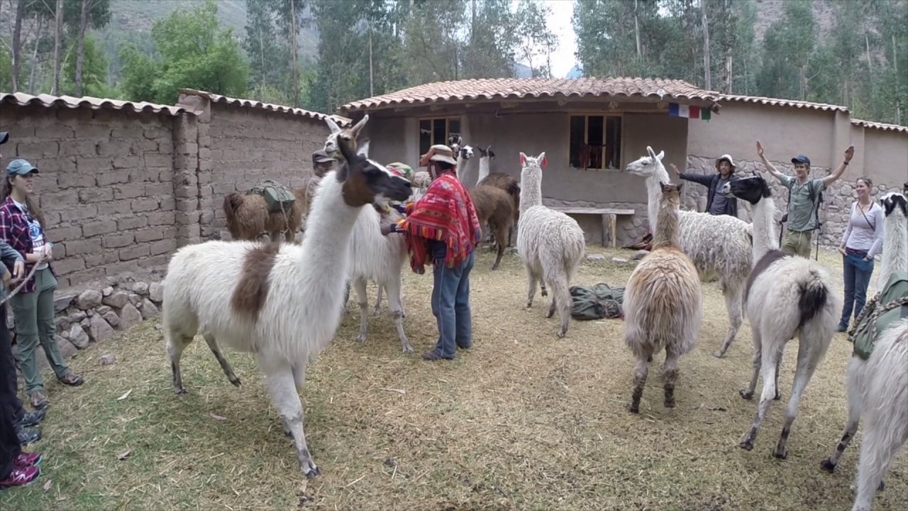 Pacific Discovery South America (B)