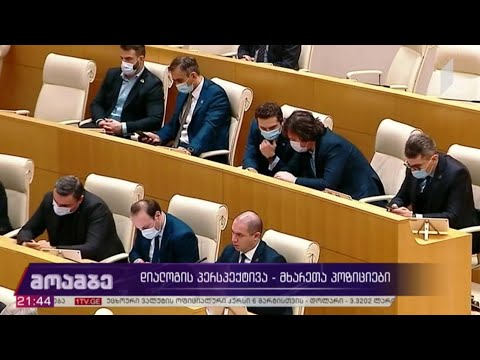 დიალოგის პერსპექტივა - მხარეთა პოზიციები