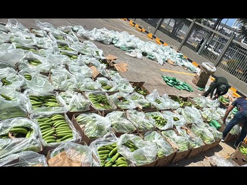 Incautan 1.607 kilos de cocaína en Cartagena, iban entre una carga de banano con destino a España