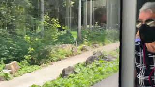 Ride up to the elevator to the Eagle’s Nest