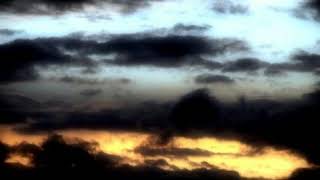 картинка: Дубовый Гаайъ - Одинокие мысли
