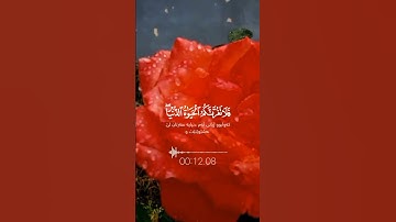 احترم القران الكريم