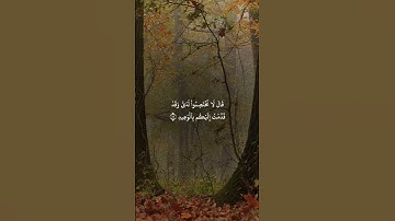 القارئ عاصم اللحیدان #المصحف #دويتو#القزابري#لايك#الرحمن #تيك_توك #اكسبلور#الطحان #راحة_نفسية#البرزخ