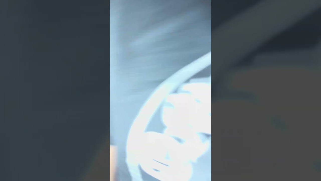 Путешествуем по разным странам вместе с канадцами азиатского происхождения 