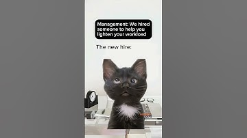 Want Coworkers Who Actually Help? Check SimpleApply