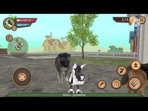 взломанная dog