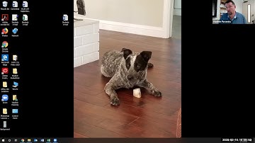 Lesson 2 - Opening a file with Adobe Bridge