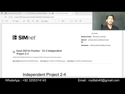 Simnet Excel 2021
