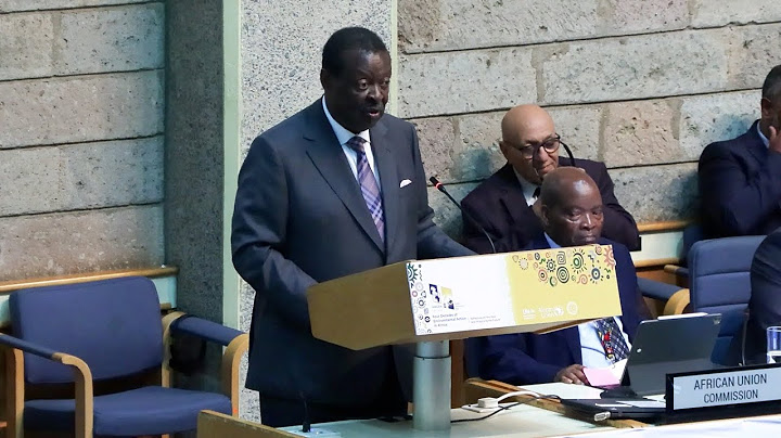 PCS H.E. Musalia Mudavadi attends the 40th AMCEN Conference in Gigiri, Nairobi, Kenya. | Switch News