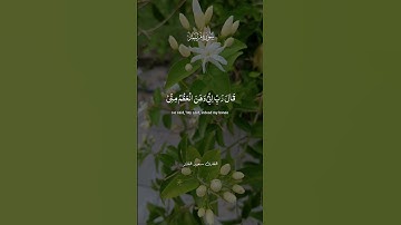 تلاوة عطرة بصوت القارئ سعود الفايز