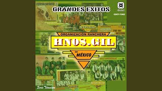 Video thumbnail of "La Organización Ranchera Hermanos Gil de Mexico - El Tarasco"
