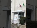 Citrus Hotel Cheltenham town current migrant location #migrants #illegal migration
