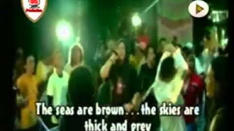 WELLCOME TO MY PARADISE   STEVE & THE COCONUT TREEZ   YouTubevia torchbrowser com