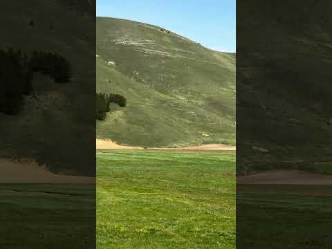 Video Castelluccio di Norcia, before flowering.