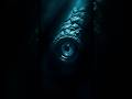 The Bloop: Unexplained Ocean Sounds #shorts #viralvideos #shortsfeed