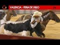 EL HOMBRE QUE SALTA DESDE LOS CABALLOS | VALENCIA - ENCUENTRO DE TAUROMAQUIAS 25/07/2018