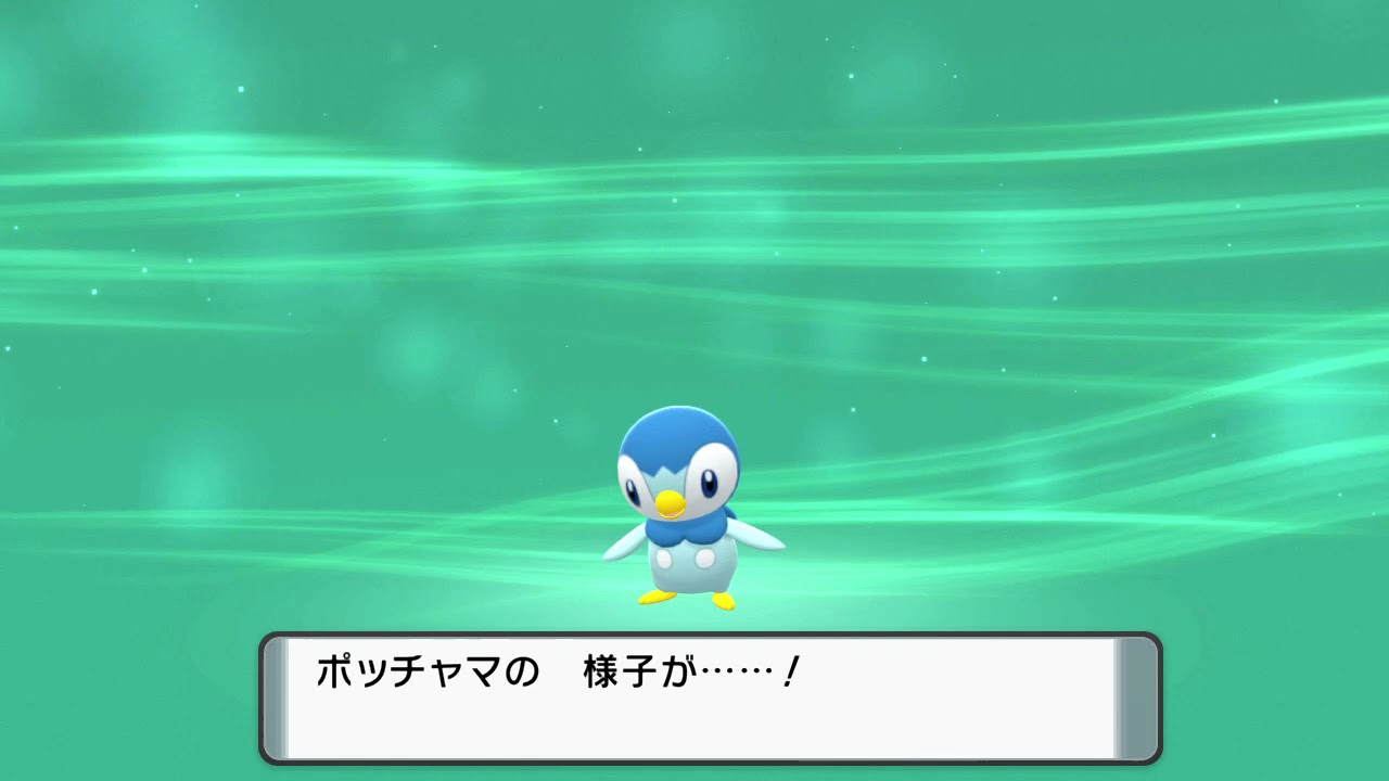 ポッチャマ進化 ポケモンbdsp Youtube