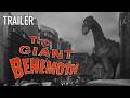 الوحش العملاق 1959 الإعلان الترويجي جين إيفانز أندريه موريل فيلم خيال علمي عن وحوش عملاقة 