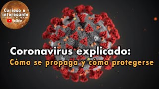 Coronavirus explicado: Qué es, cómo se propaga y cómo protegerse del COVID-19.