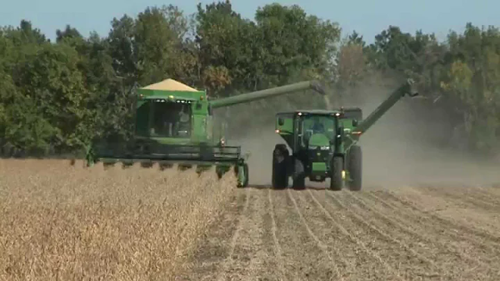 Soybean Harvest Recommendations - Gary Zoubek - September 12, 2014