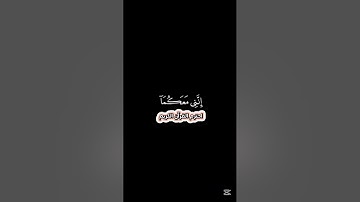 احترم القرآن الكريم #قرآن #quran
