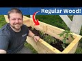 How to Build DIY Raised Garden Beds on a Budget: Step-by-Step Instructions