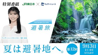 ウェザーニュースの配信のサムネイル画像