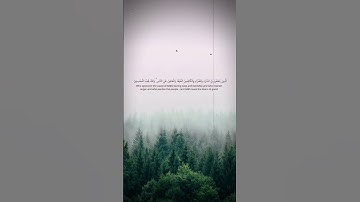 #قران_كريم# #القارئ_هيثم_الدخين #سورة_آل_عمران
