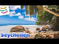 Seychellen, ein bisschen Urlaub von Corona im Paradies | YourTravel.TV