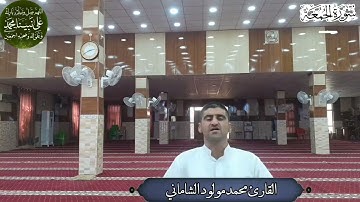 القارئ محمد مولود الشاماني تلاوة عراقية مرئية أواخر سورة الجمعة(مقام شرقي دوكاه)