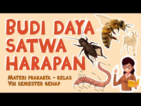 BUDI DAYA SATWA HARAPAN - MATERI PRAKARYA BUDI DAYA KELAS 8 SEMESTER GENAP