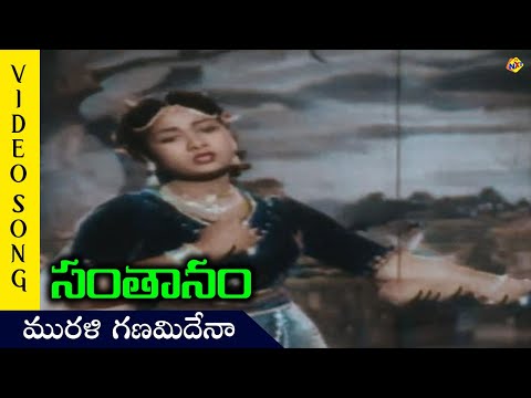 Murali Ganamidena Video Song |Santhanam Movie Songs| Nageswara Rao(ANR )|Savitri |TVNXT Telugu Music