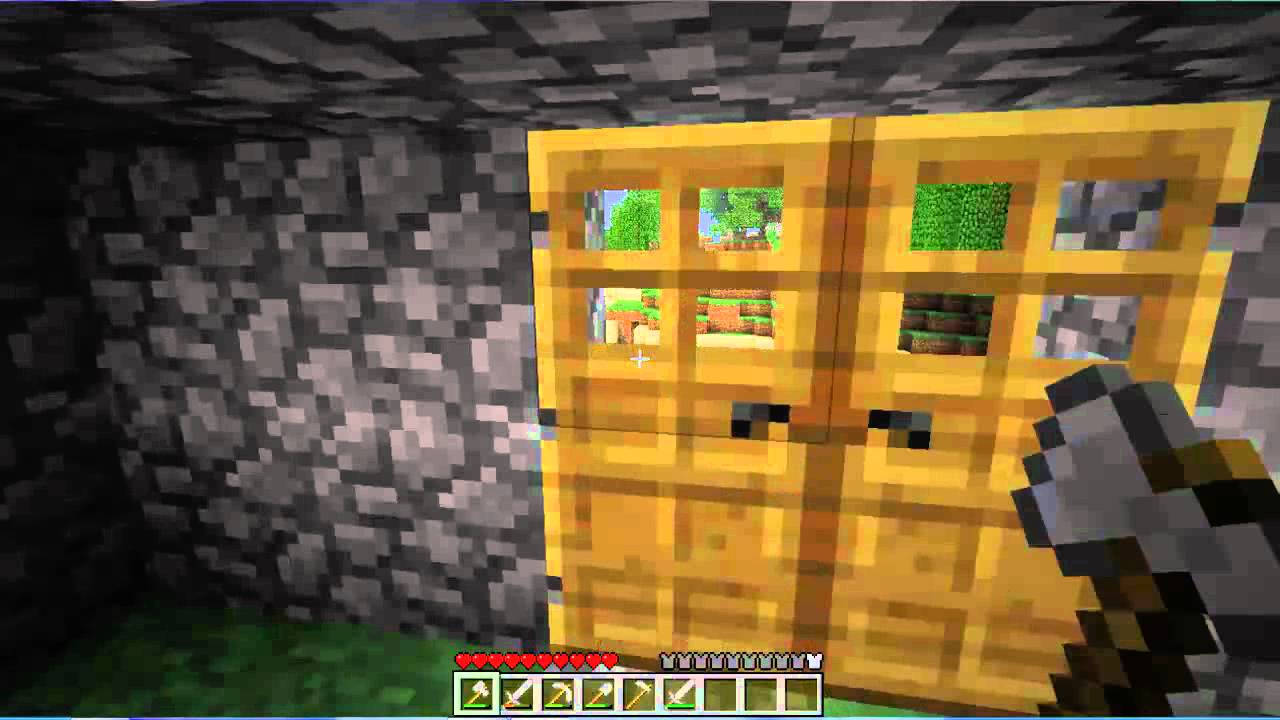 Playing Minecraft And RedStonianPig