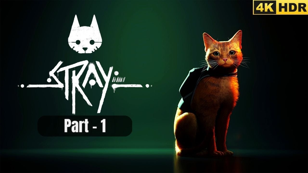 Stray Part 1 Walkthrough No Commentary 4K 60fps YouTube stray-part-1-walkthrough-no-commentary-4k-60fps-youtube