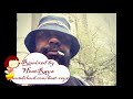 Sean Price - Bang Exclusive (Liquid Words Remix)