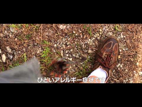 映画『なんちゃって家族』特別映像【HD】　2014年1月25日公開