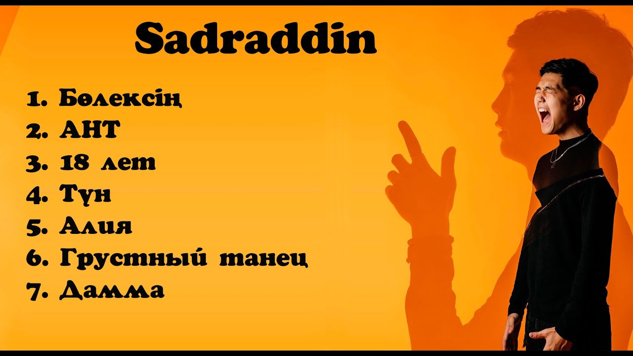 sadraddin-youtube