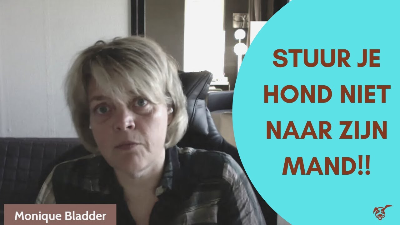 Stuur je hond niet naar zijn mand (als hij blaft naar visite)