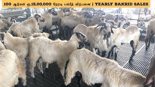 100 ஆடுகள் ரூ.15,00,000 வருட வருமானம் | Yearly Bakrid Sales