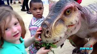 Real dinosaur in real life 2 - MUST WATCH !!