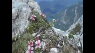 Via ferrata, Slovenia, Italy 2014 (Slovinsko ferraty s CK Alpina)