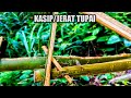 Primitive &amp; traditional life, making squirrel traps in the mountain forests of Borneo.