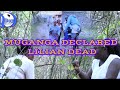 KUMBE WAMBO NAWAGANGA WANAJUWANA ILIKUWA NJAMA LILIAN TO BE KILLED KUMBE WAMBO NAWAGANGA WANAJUWANA ILIKUWA NJAMA LILIAN TO BE KILLED