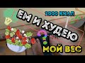 МОЙ ВЕС 🤫 ДНЕВНИК ПИТАНИЯ 🥗 ЕМ И ХУДЕЮ 🤪 2000 ККАЛ