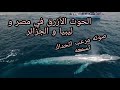 الحوت الأزرق يظهر في الإسكندرية و دمياط